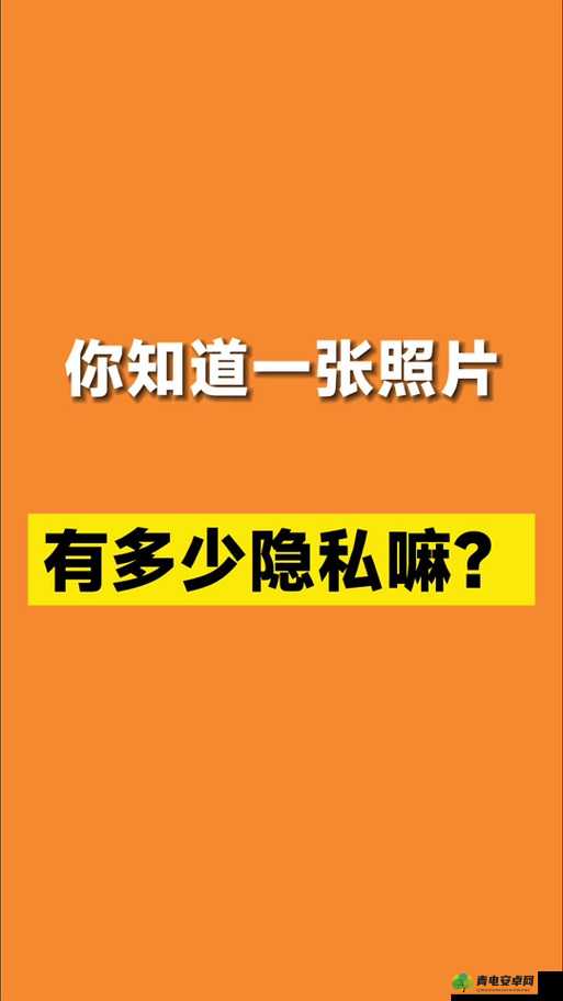 52g app 是什么：私密相册管理专家