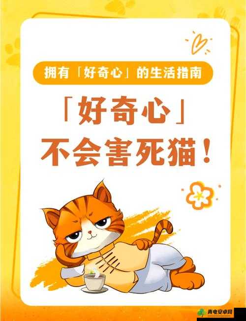 柚子猫带你走进奇妙的世界探索未知的精彩