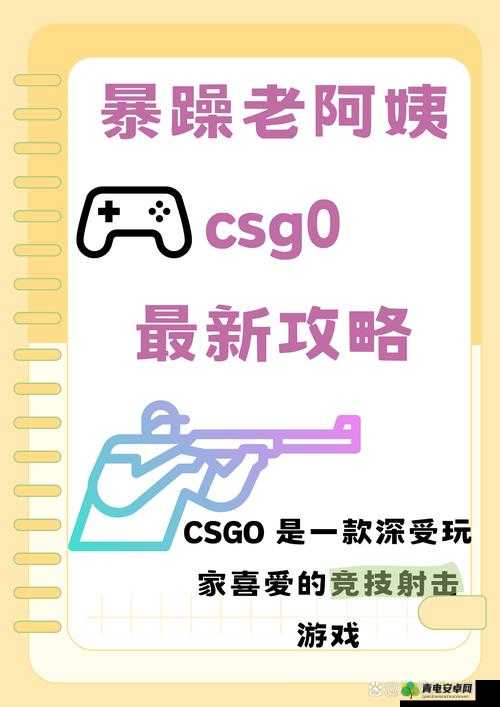 揭秘暴躁老阿姨 csgo 技巧：枪枪爆头的秘密