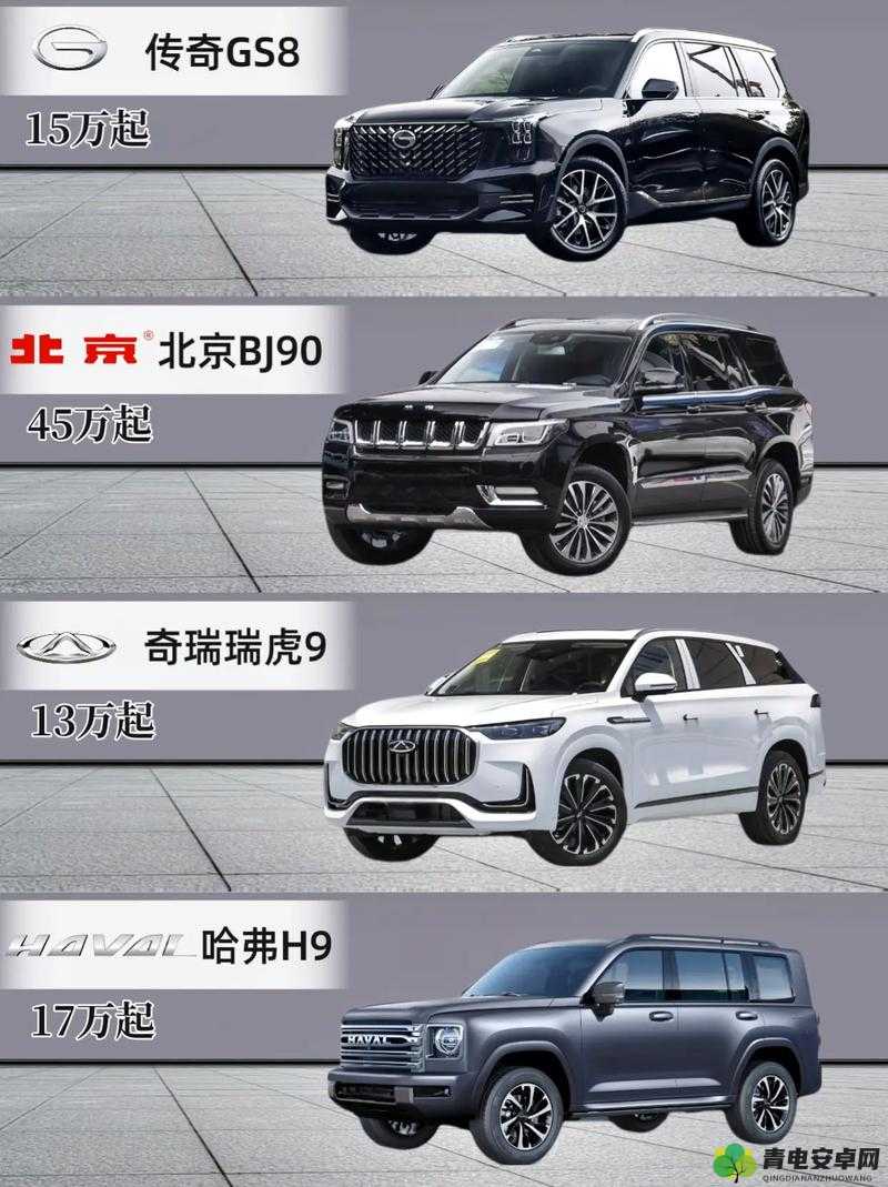 国产 SUV 精品一区二区：呈现顶级驾乘体验与卓越品质