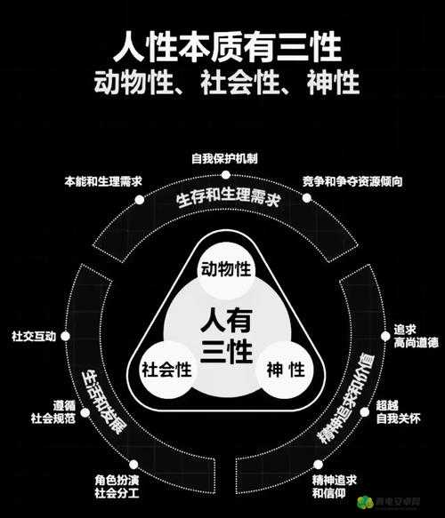 强烈推荐：探索人性与兽性的边界