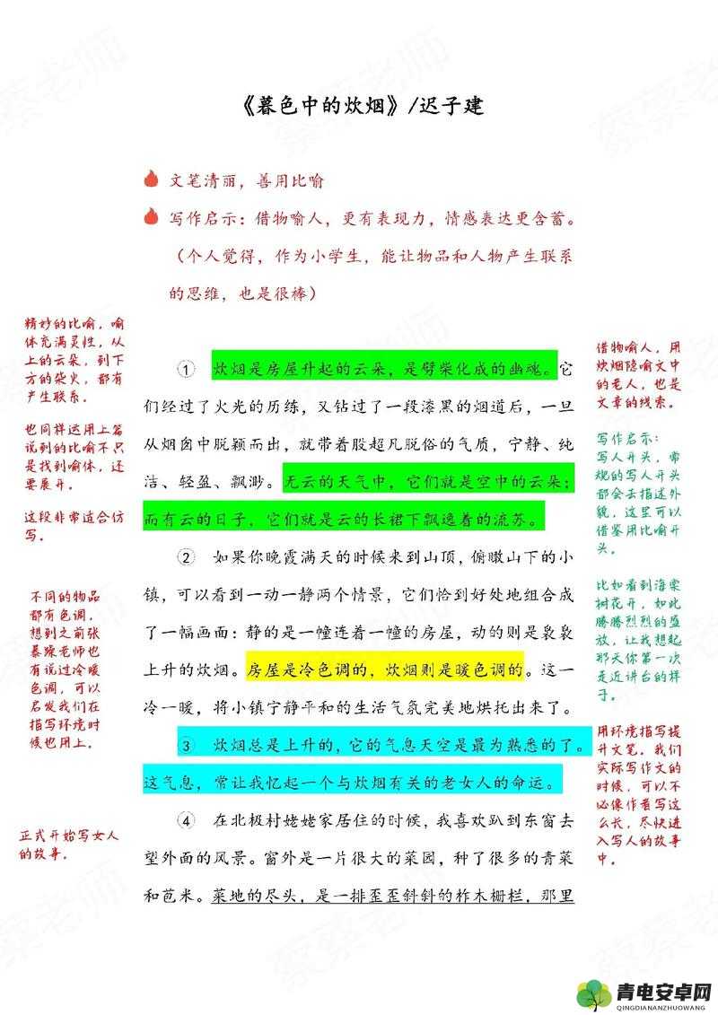 红桃现颢：关于红桃现颢的深入解读与详细分析