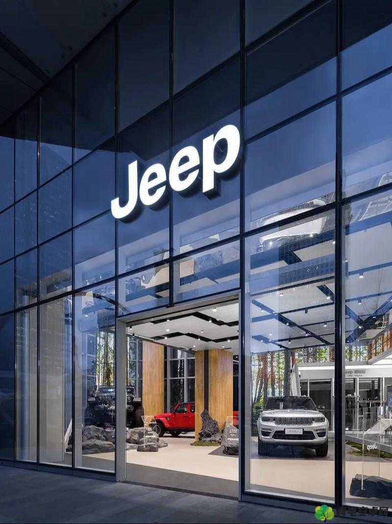 jeep 官方旗舰店：品质汽车之选 畅享极致驾驭体验