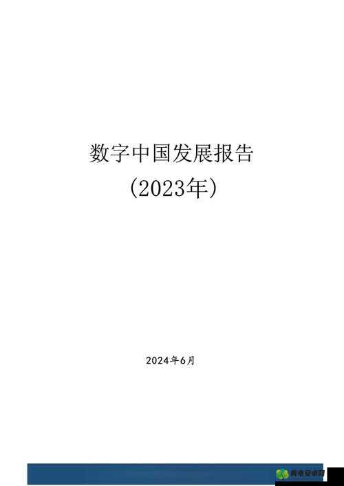 XAXMANTA 中国：关于其在中国发展的探讨与分析