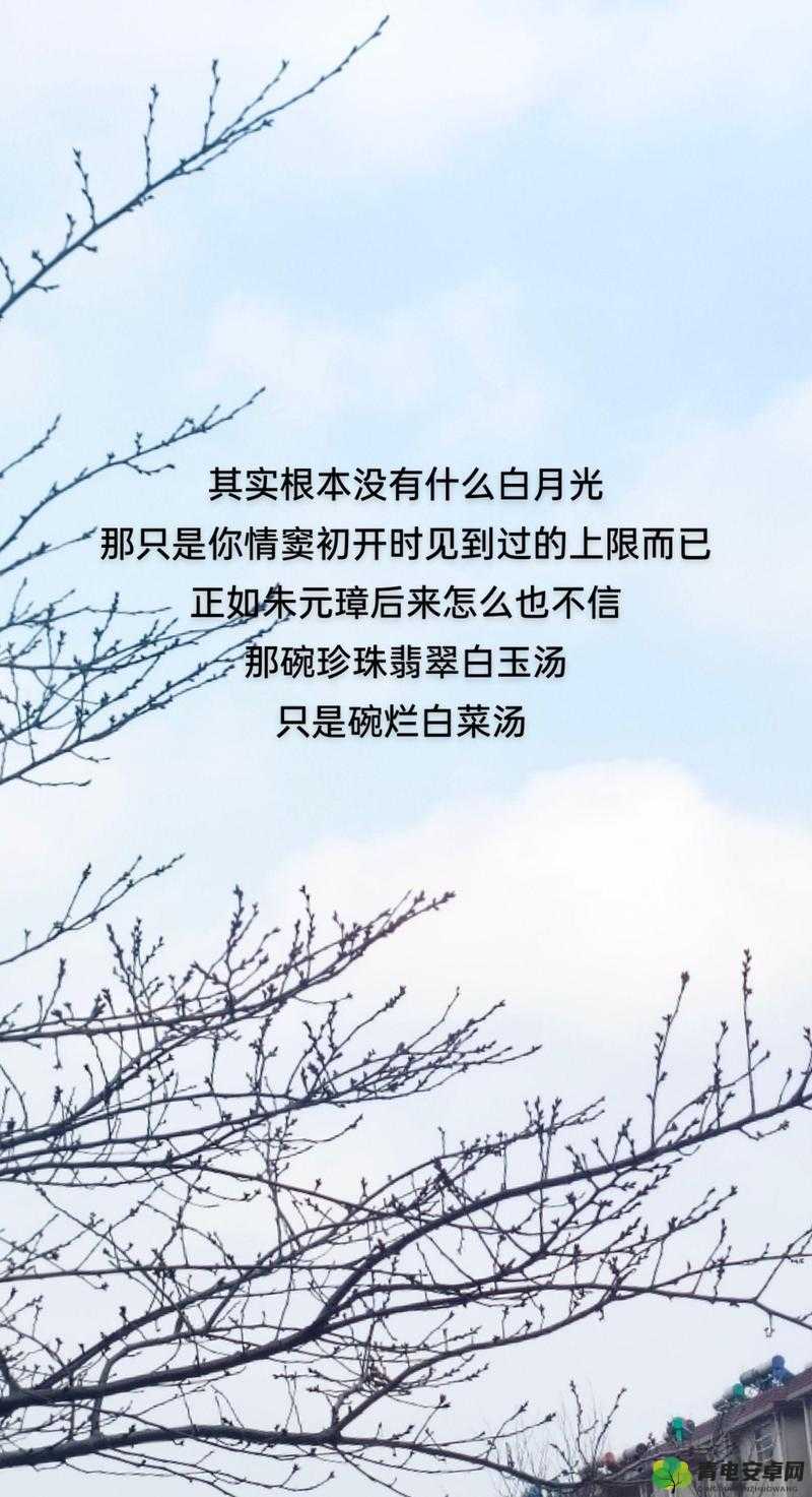 白月光分手日常：错爱与遗憾的交织