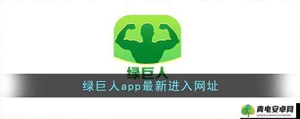 绿巨人黑科技软件大全 APP：畅享海量实用软件的宝藏之地