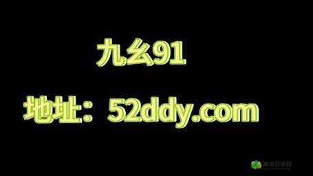 九幺 91 海外：连接世界的窗口