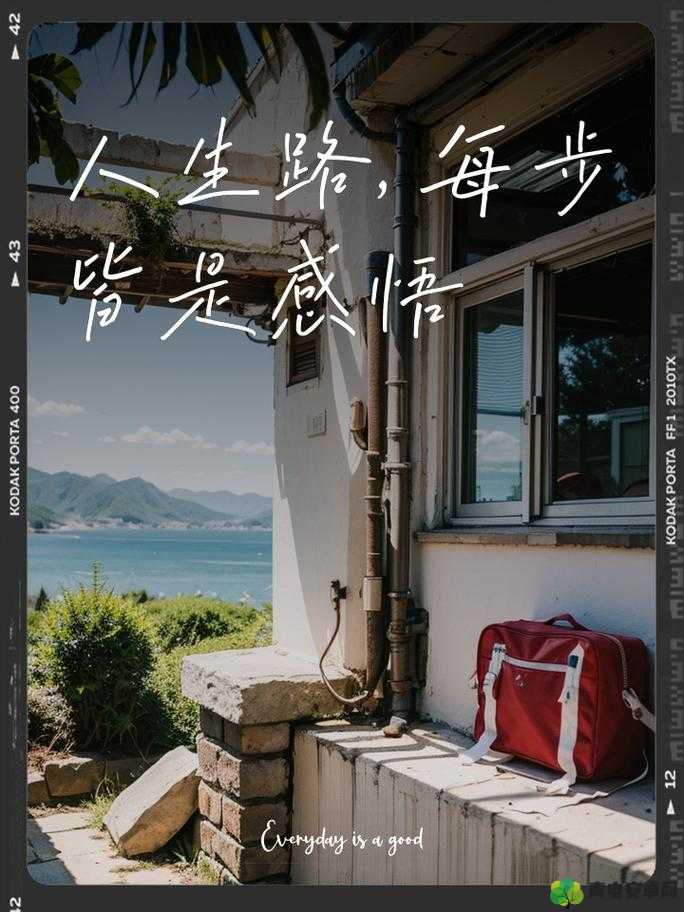 五十路初摄：探索别样的人生旅程与感悟