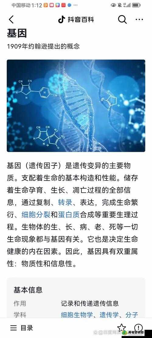 人与猪的 DNA 研究 探索未知的基因奥秘与差异