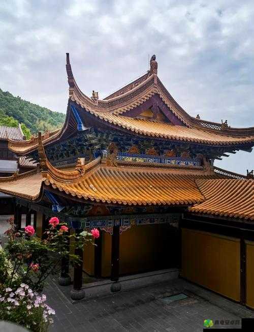 王氏寺庙快活几天：一段独特的心灵休憩之旅