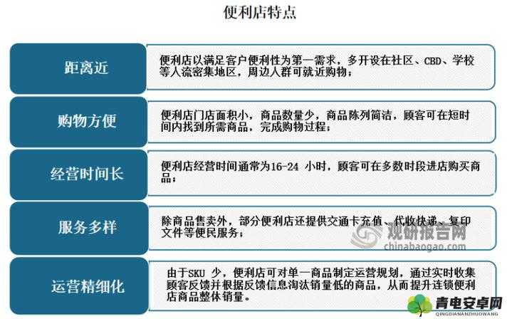 箱庭便利店初期盈利策略，多维度分析与全面有效经营策略的制定与执行