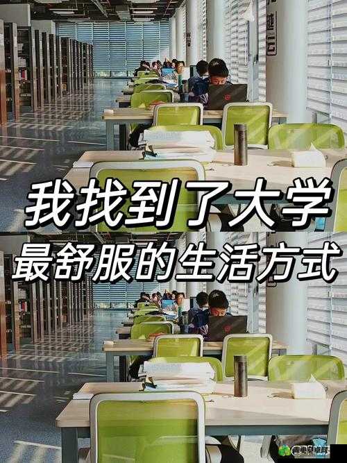 探索理想大学人生路径，策略与实践并重，达成完美结局的全方位指南